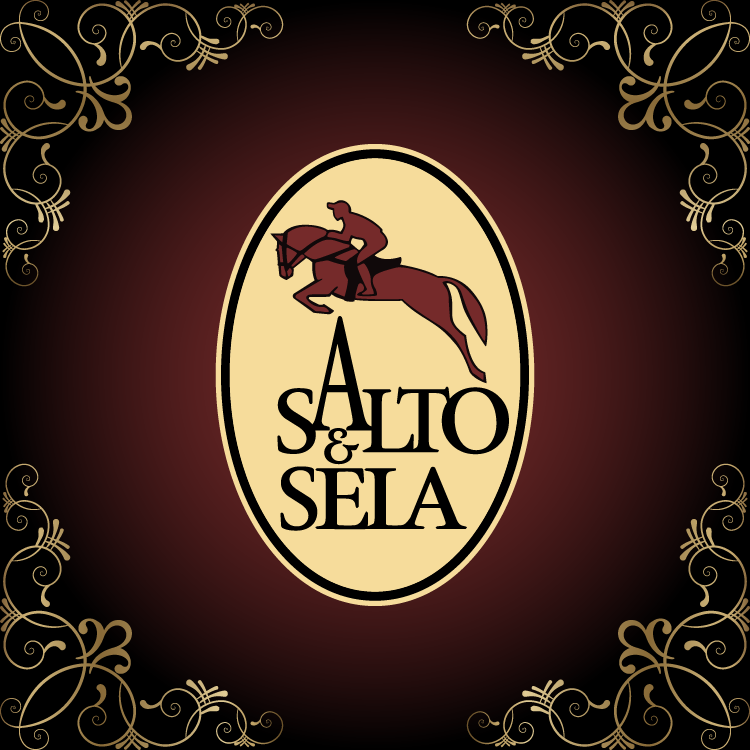 saltoesela-case